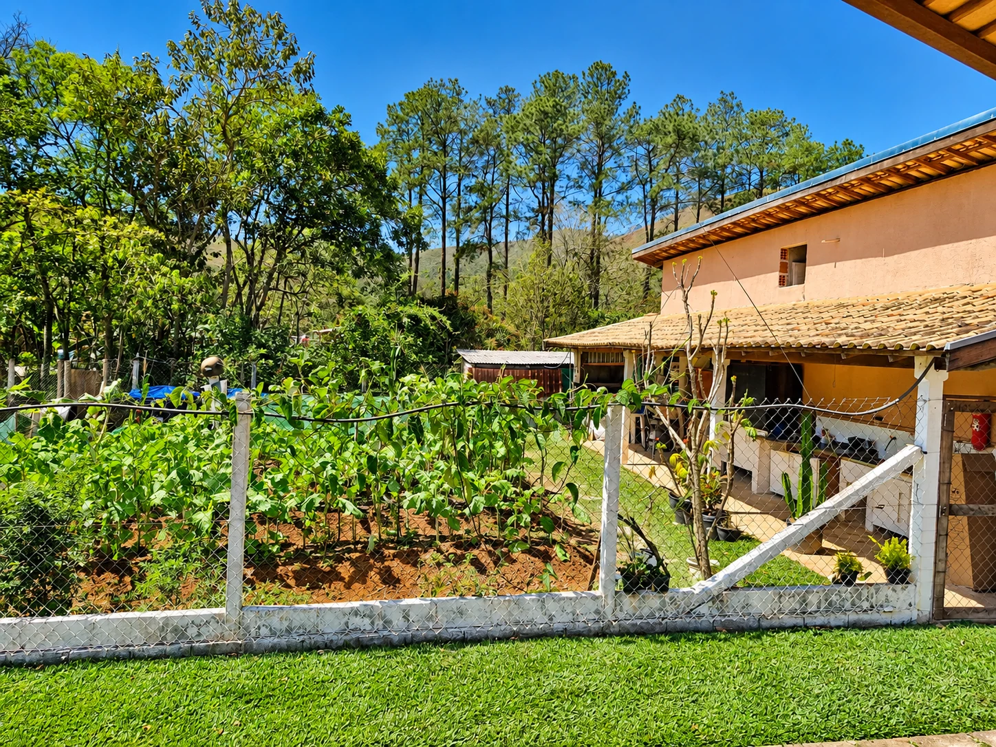 Chácara, 4 quartos, 5000 m² - Foto 32