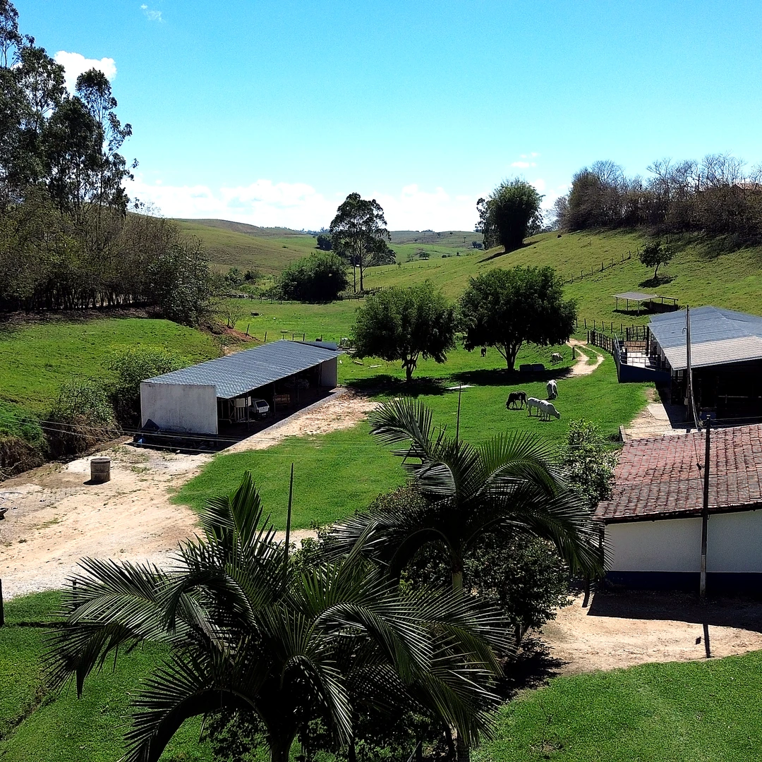 Chácara, 3 quartos, 31 m² - Foto 4