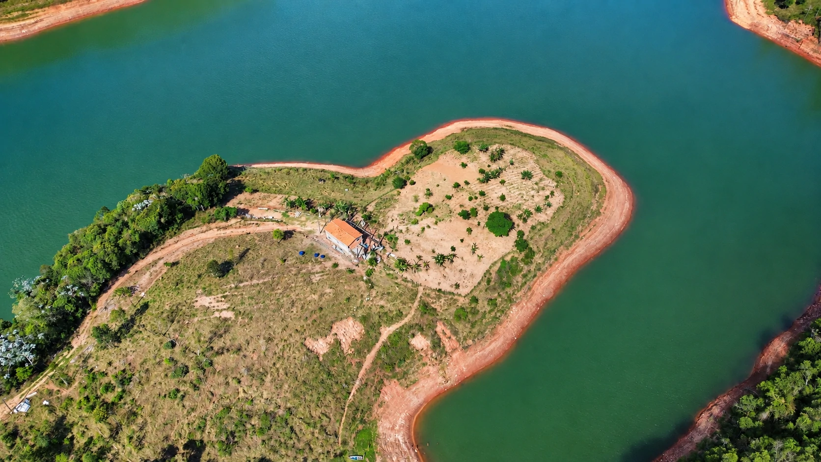 Sítio, 90 hectares - Foto 4