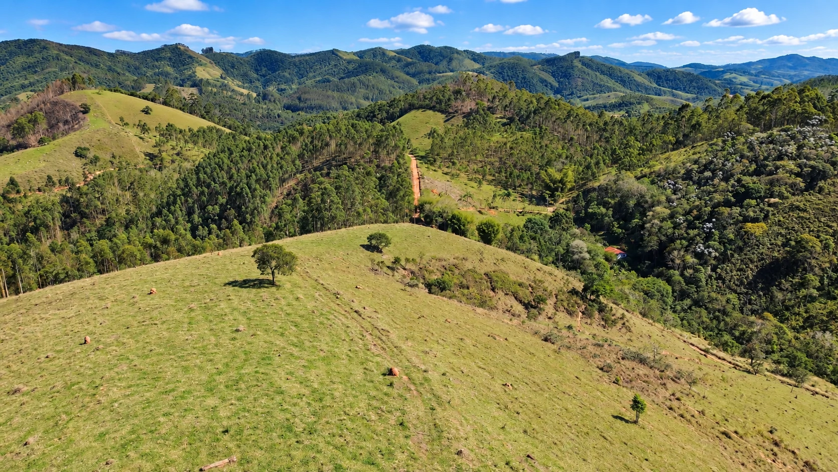 Sítio, 90 hectares - Foto 35