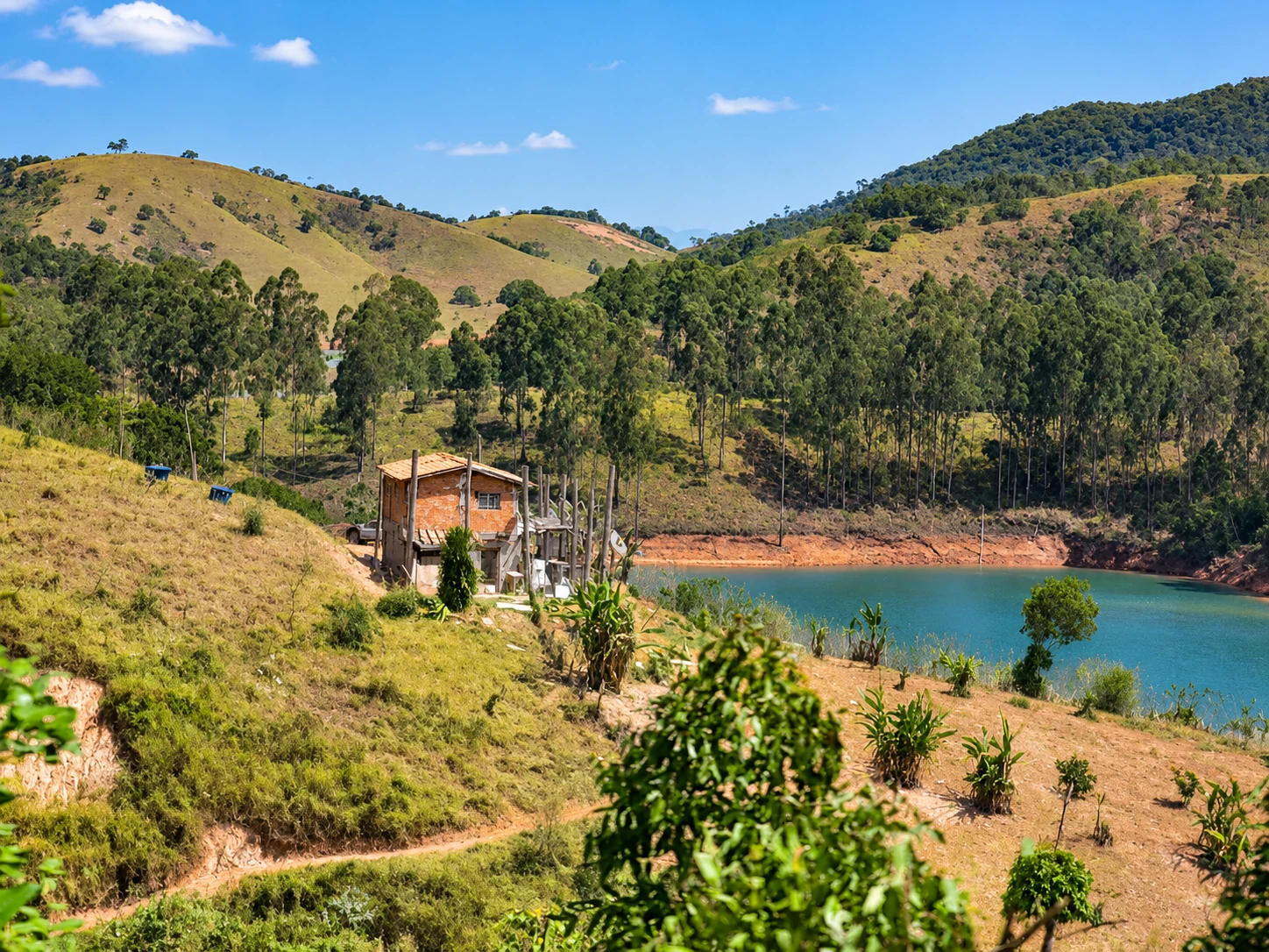 Sítio, 90 hectares - Foto 41