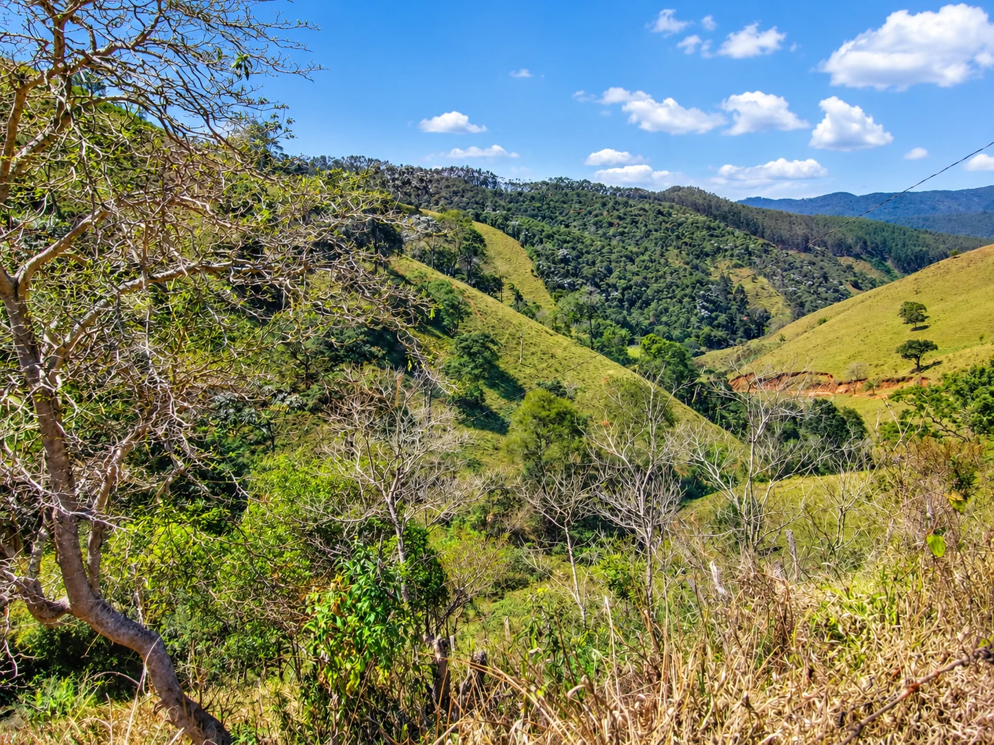 Sítio, 90 hectares - Foto 42