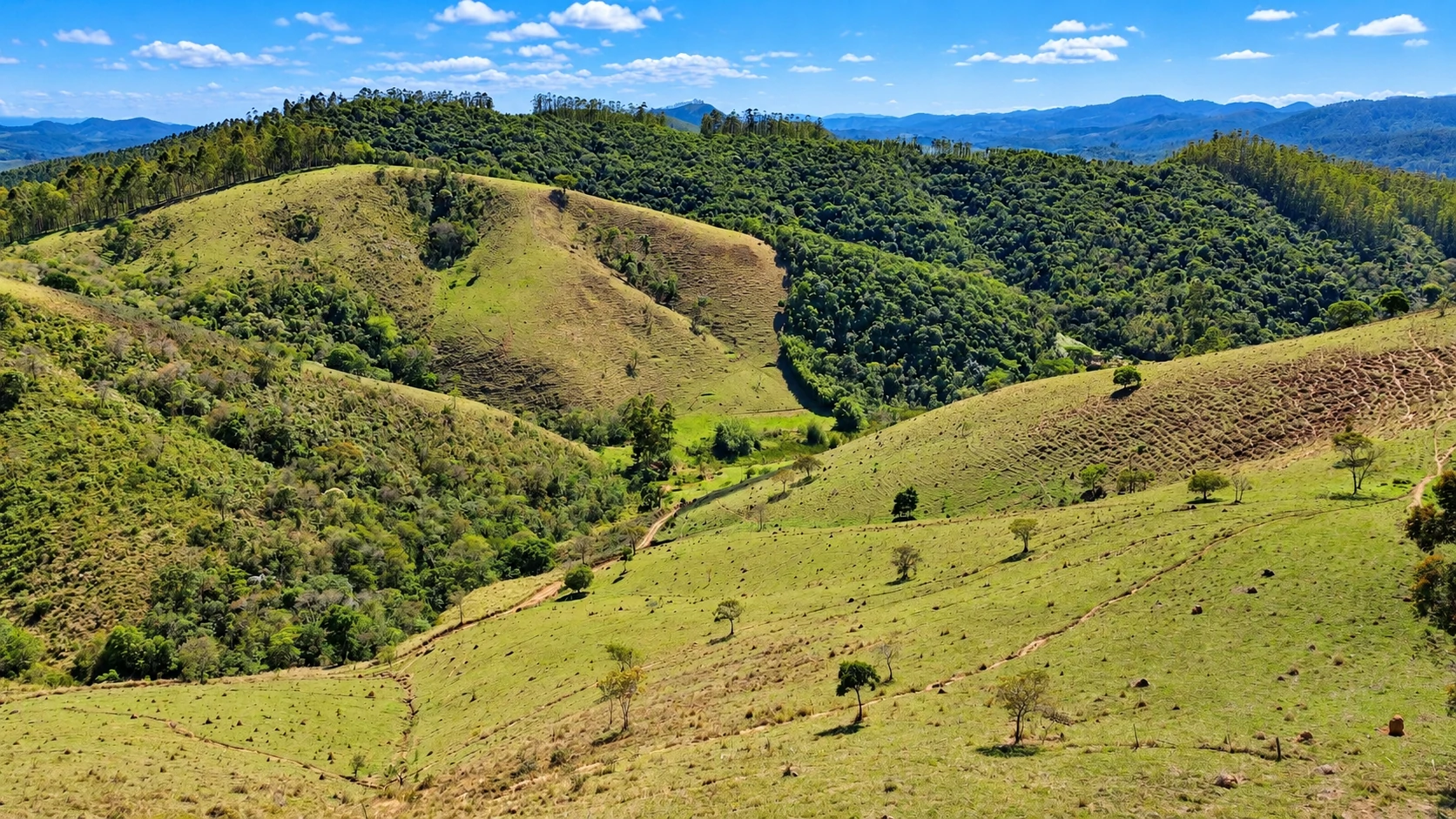 Sítio, 90 hectares - Foto 43