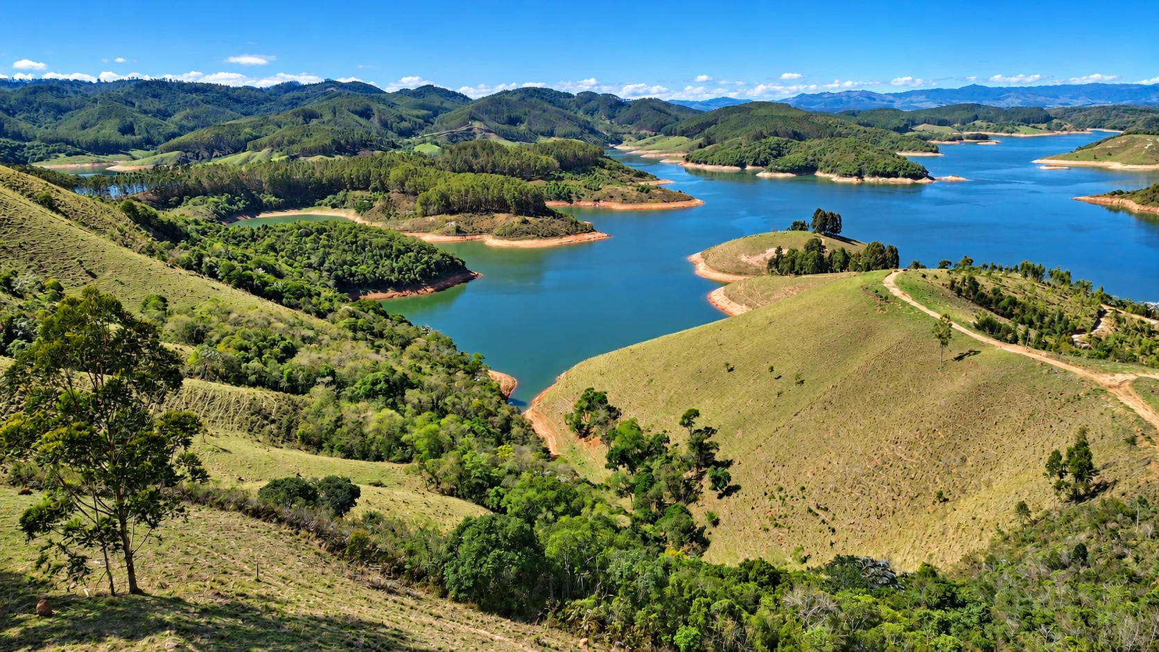 Sítio, 90 hectares - Foto 44