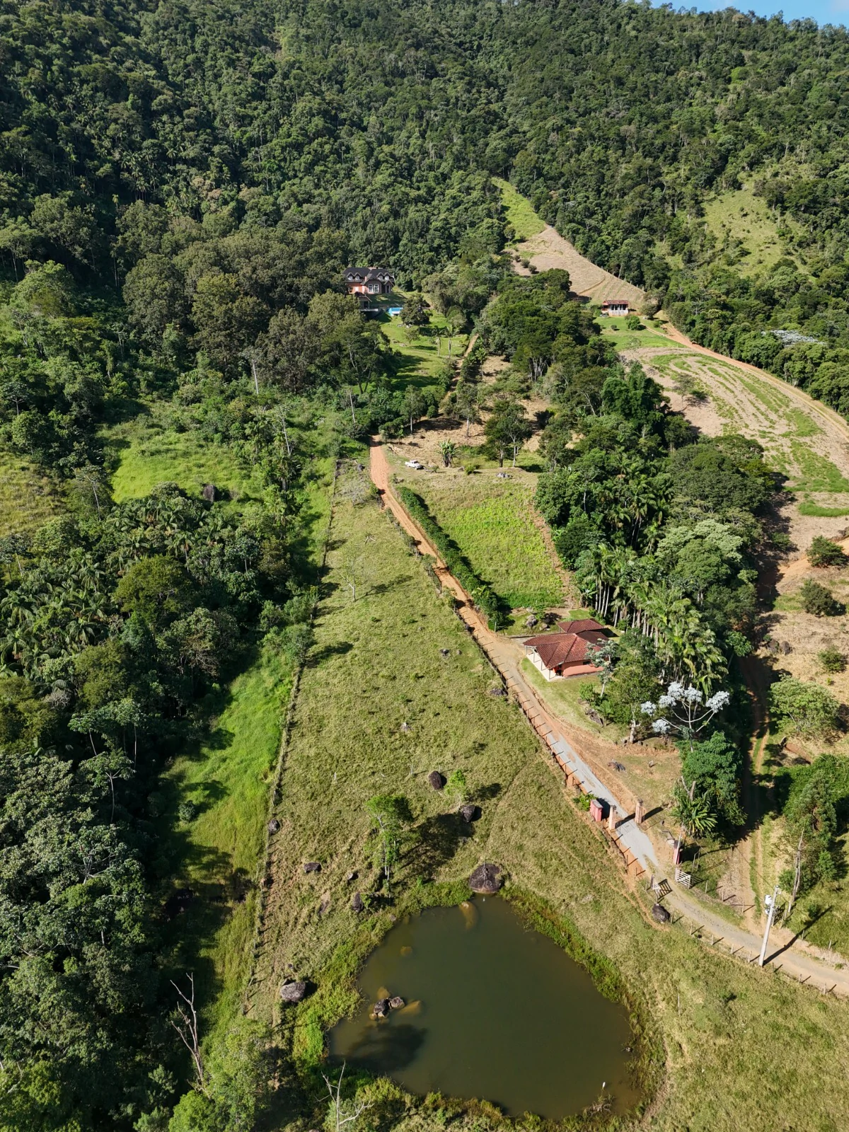 Chácara, 4 quartos, 5 hectares - Foto 6