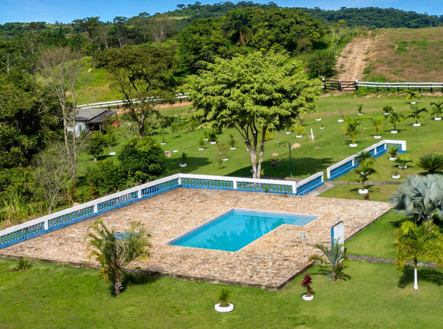 Chácara, 3 quartos, 6 hectares - Foto 3