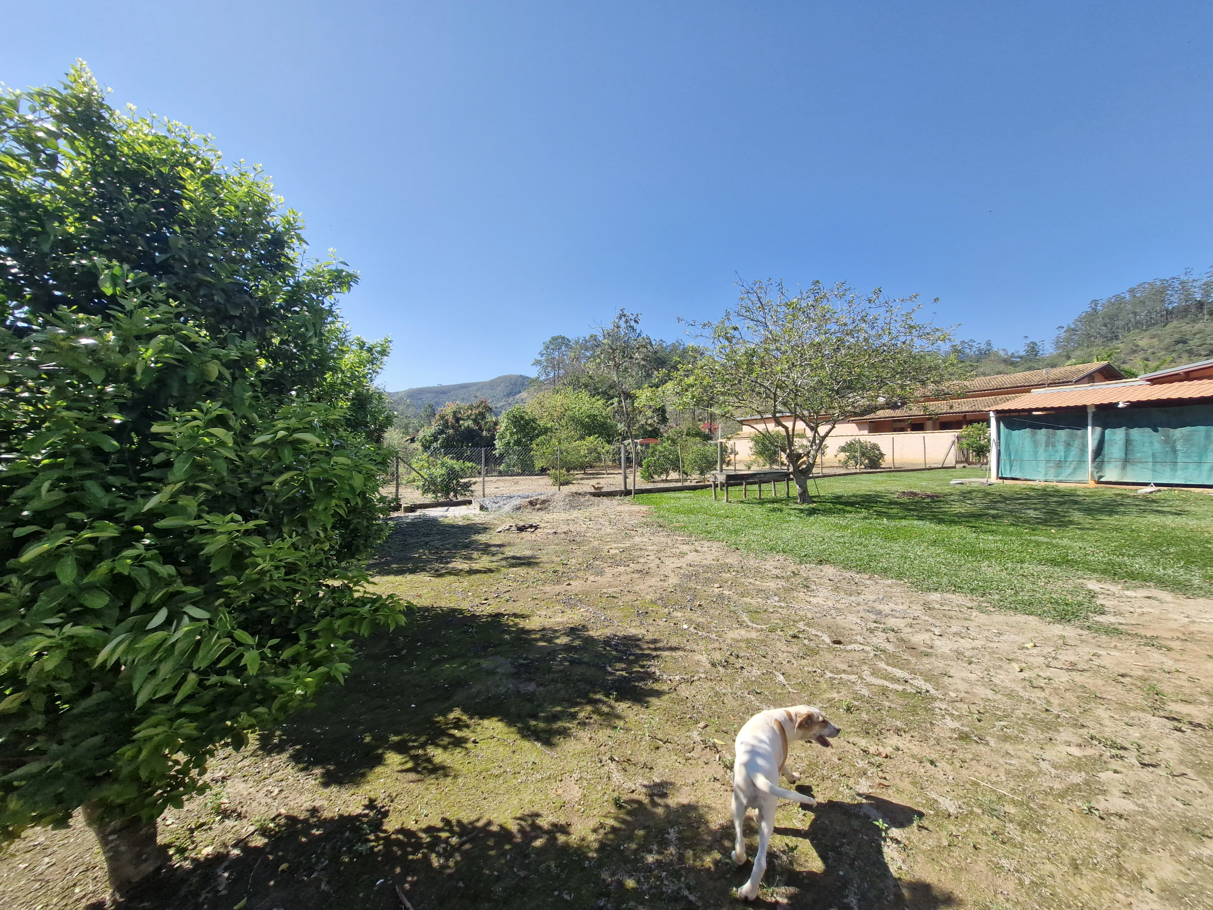Chácara, 4 quartos, 5000 m² - Foto 62