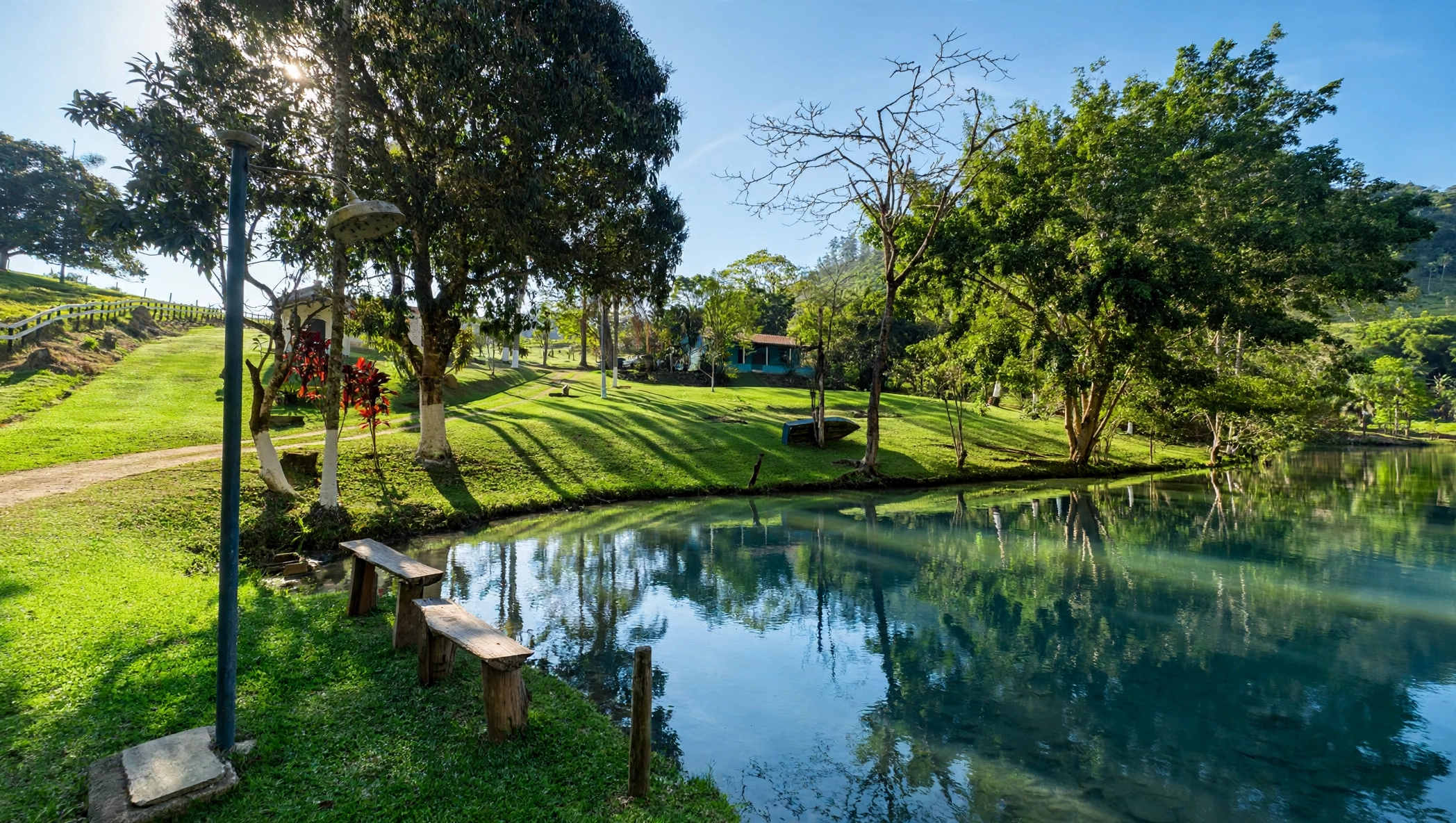 Chácara, 3 quartos, 6 hectares - Foto 6