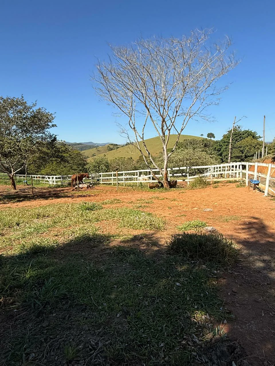 Chácara, 22 m² - Foto 11