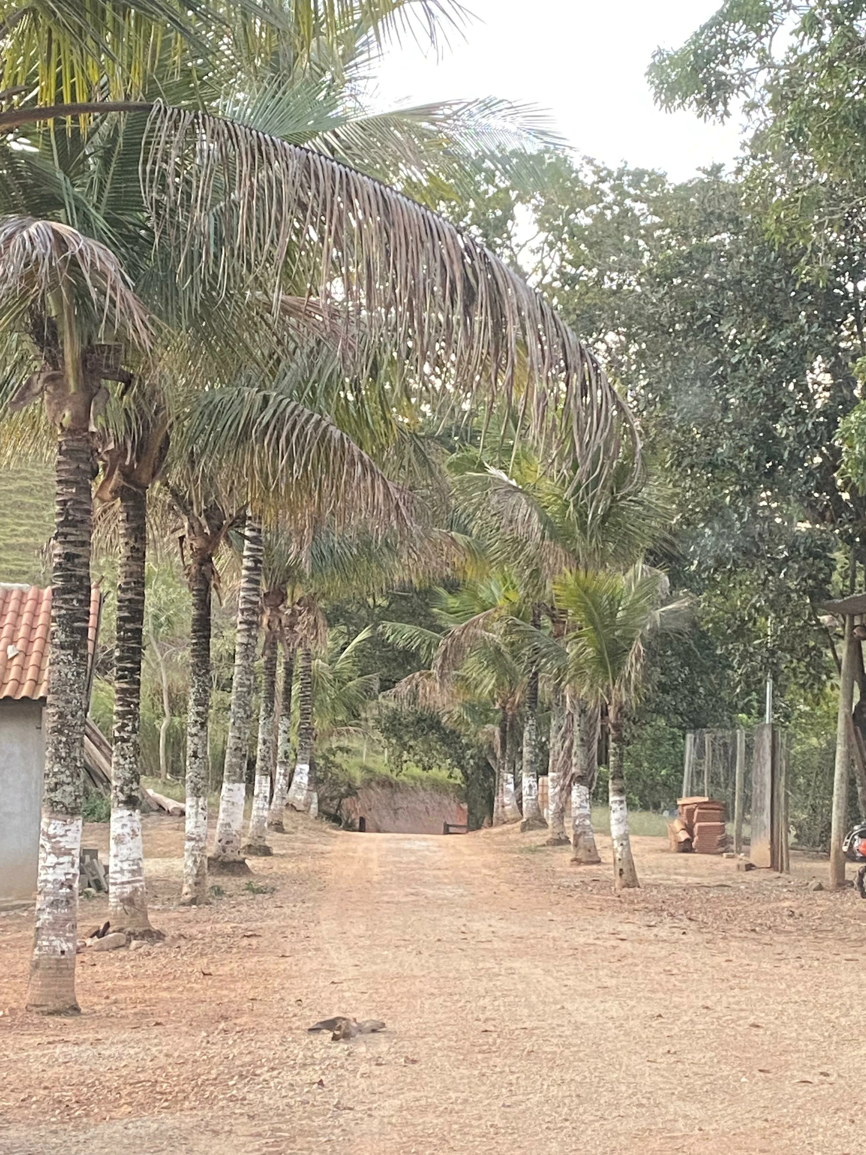 Chácara, 22 m² - Foto 16