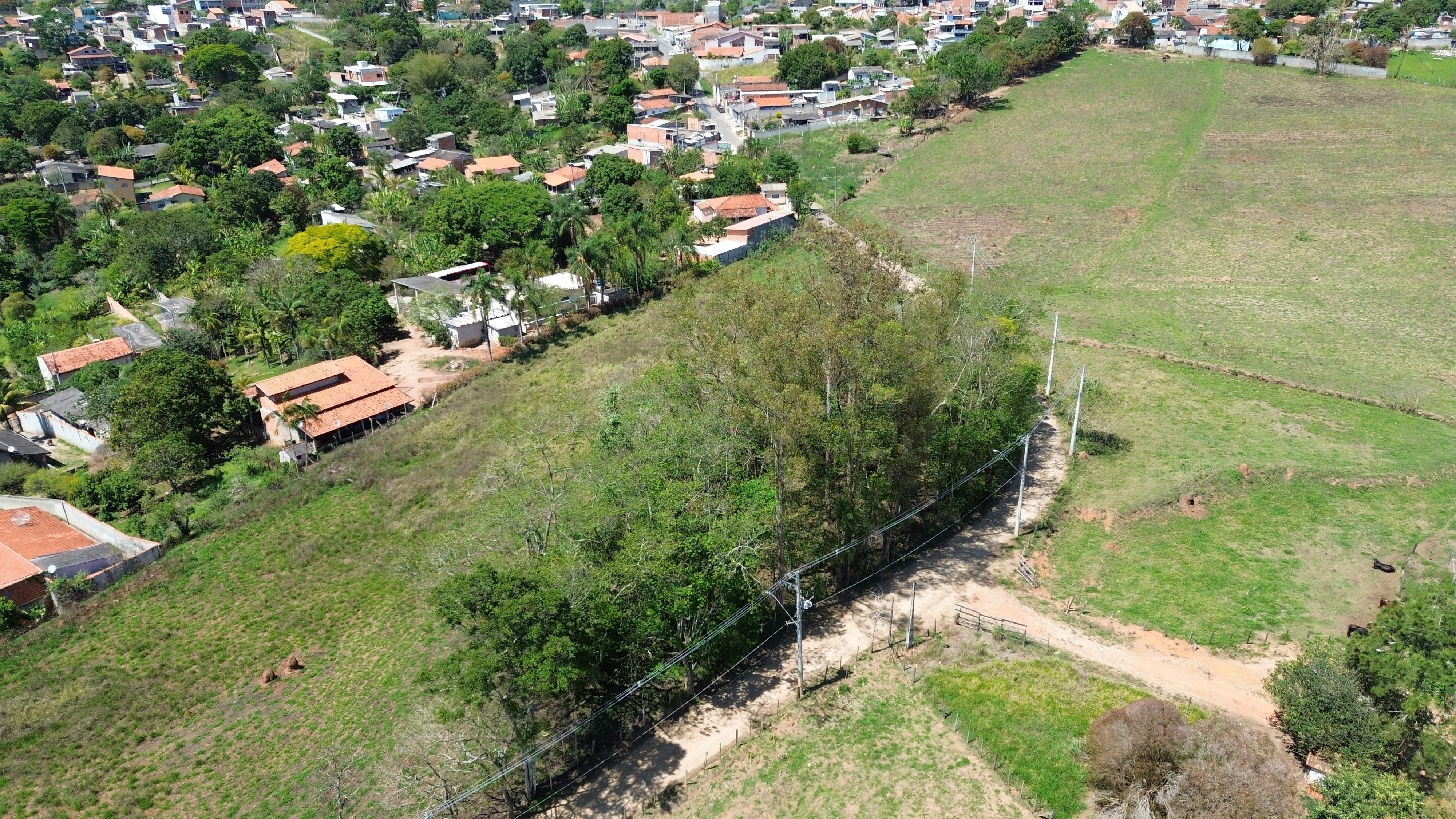 Chácara, 16 hectares - Foto 10