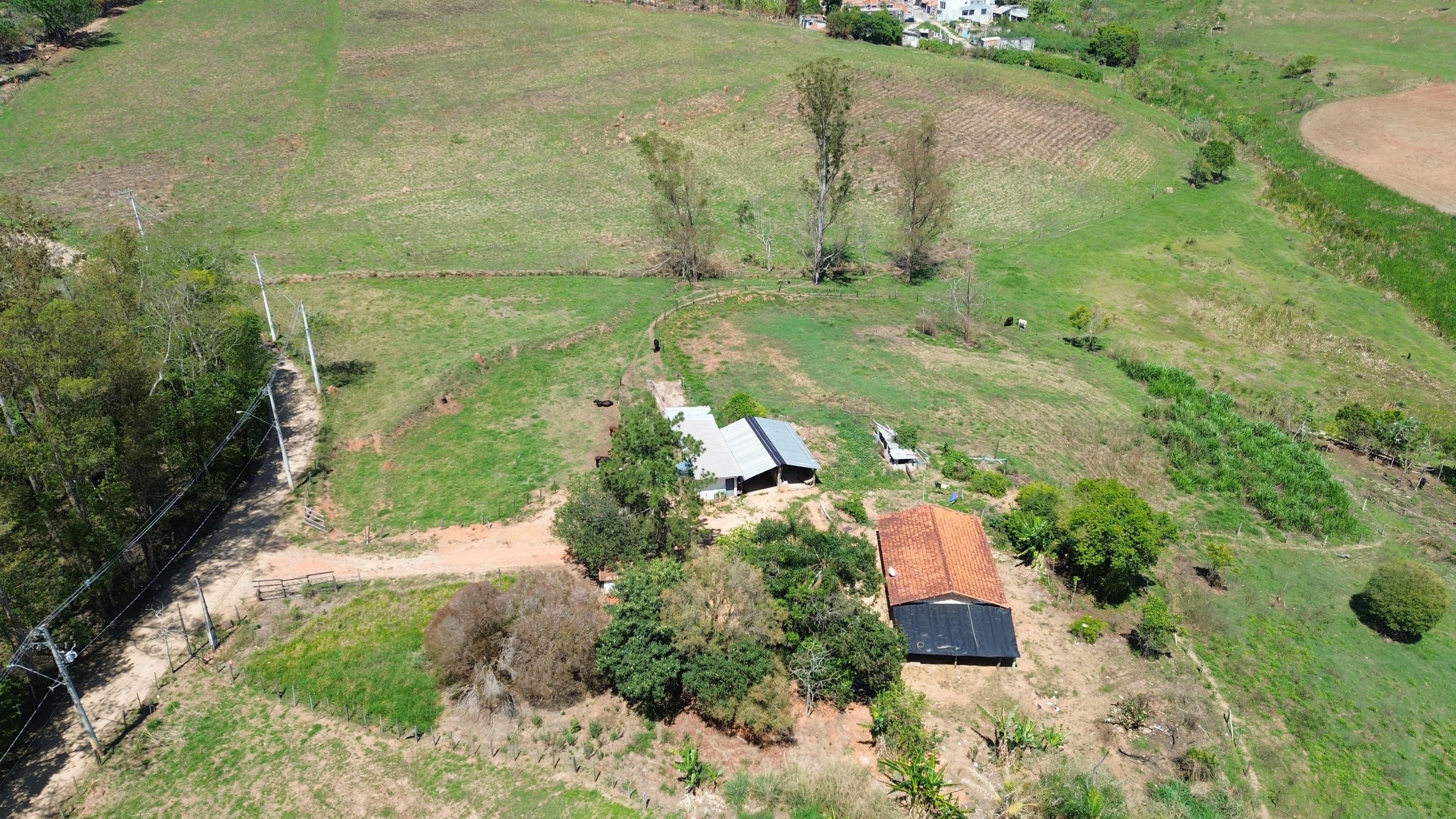 Chácara, 16 hectares - Foto 11