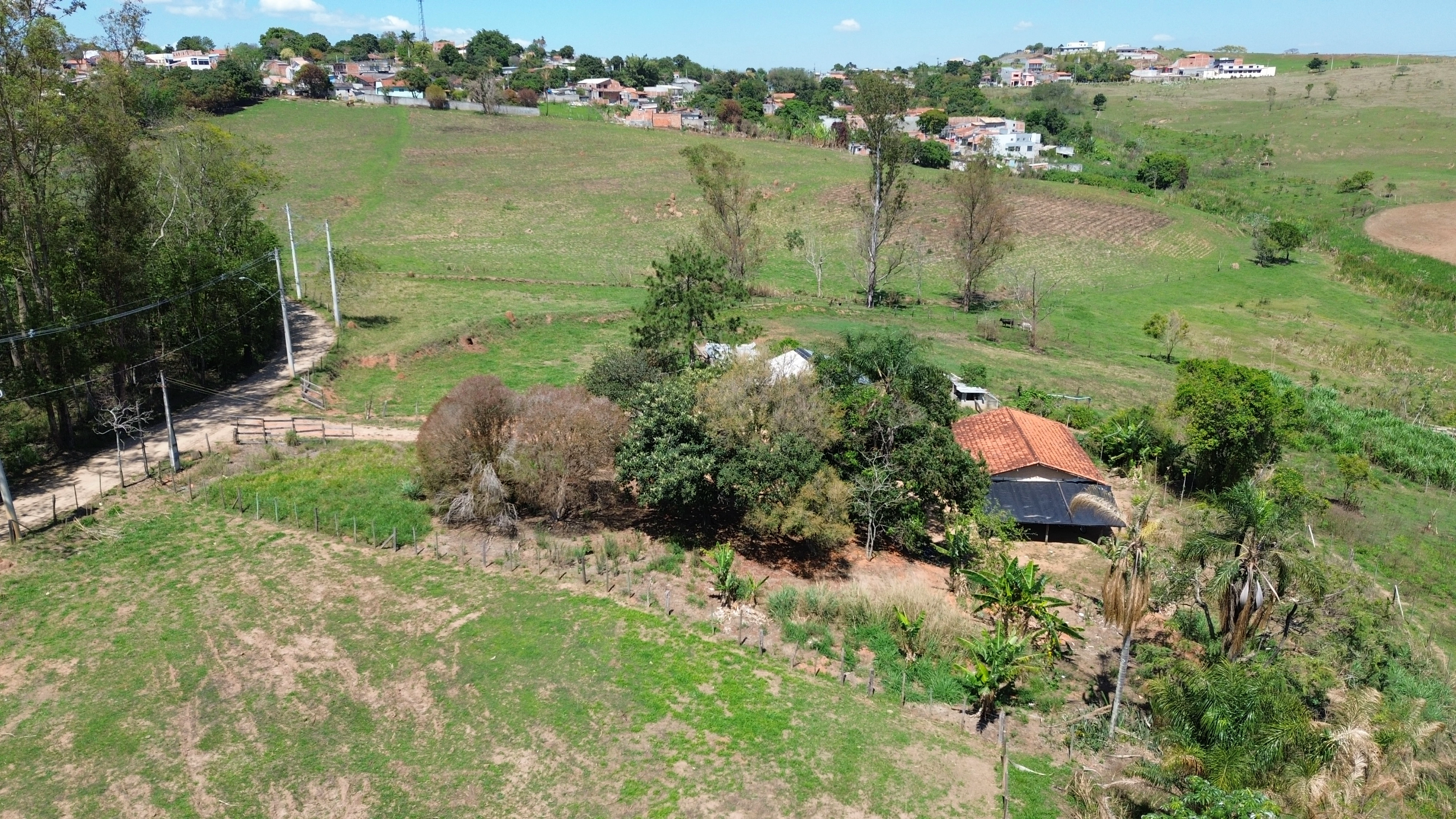 Chácara, 16 hectares - Foto 12
