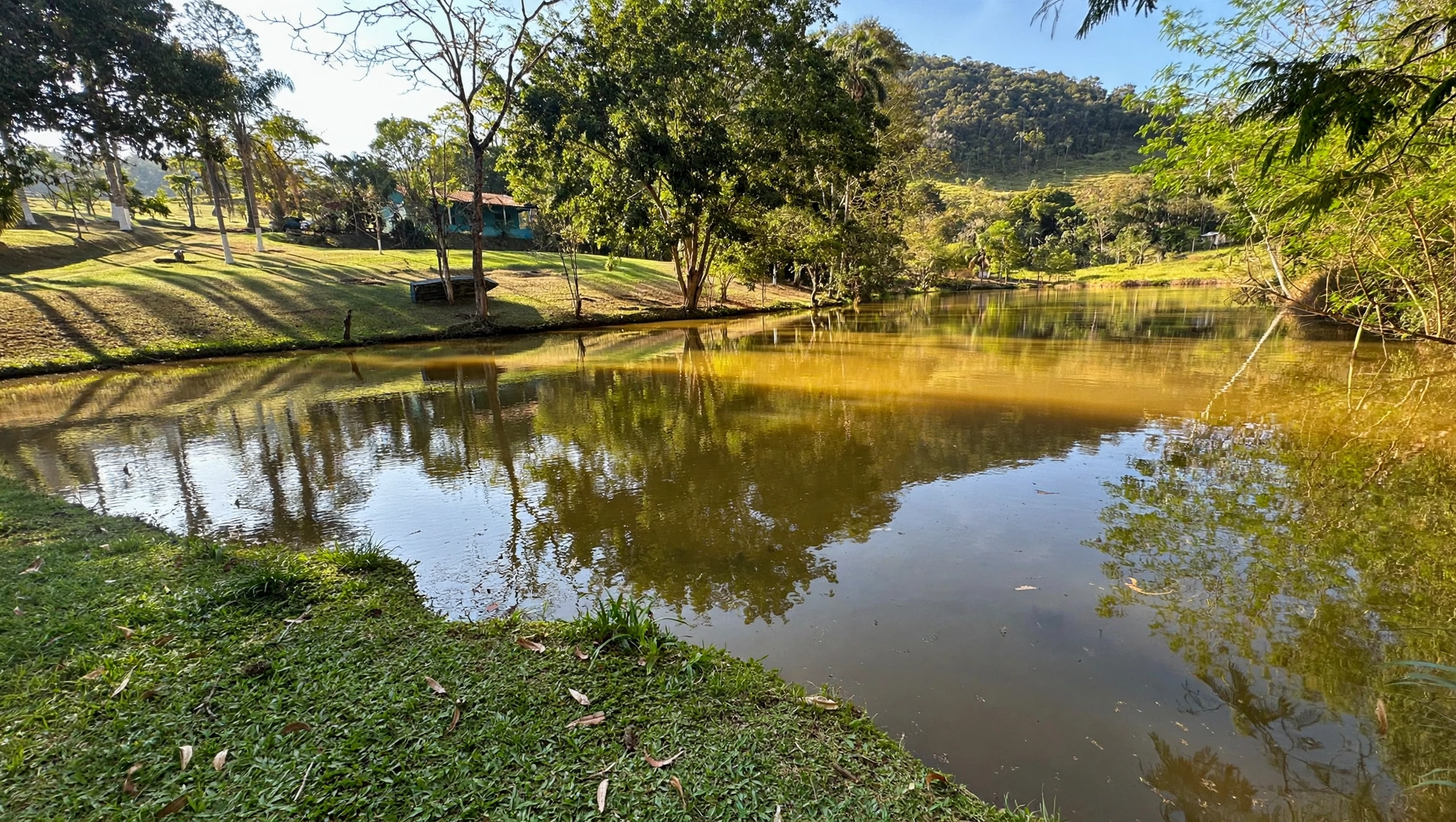 Chácara, 3 quartos, 6 hectares - Foto 16