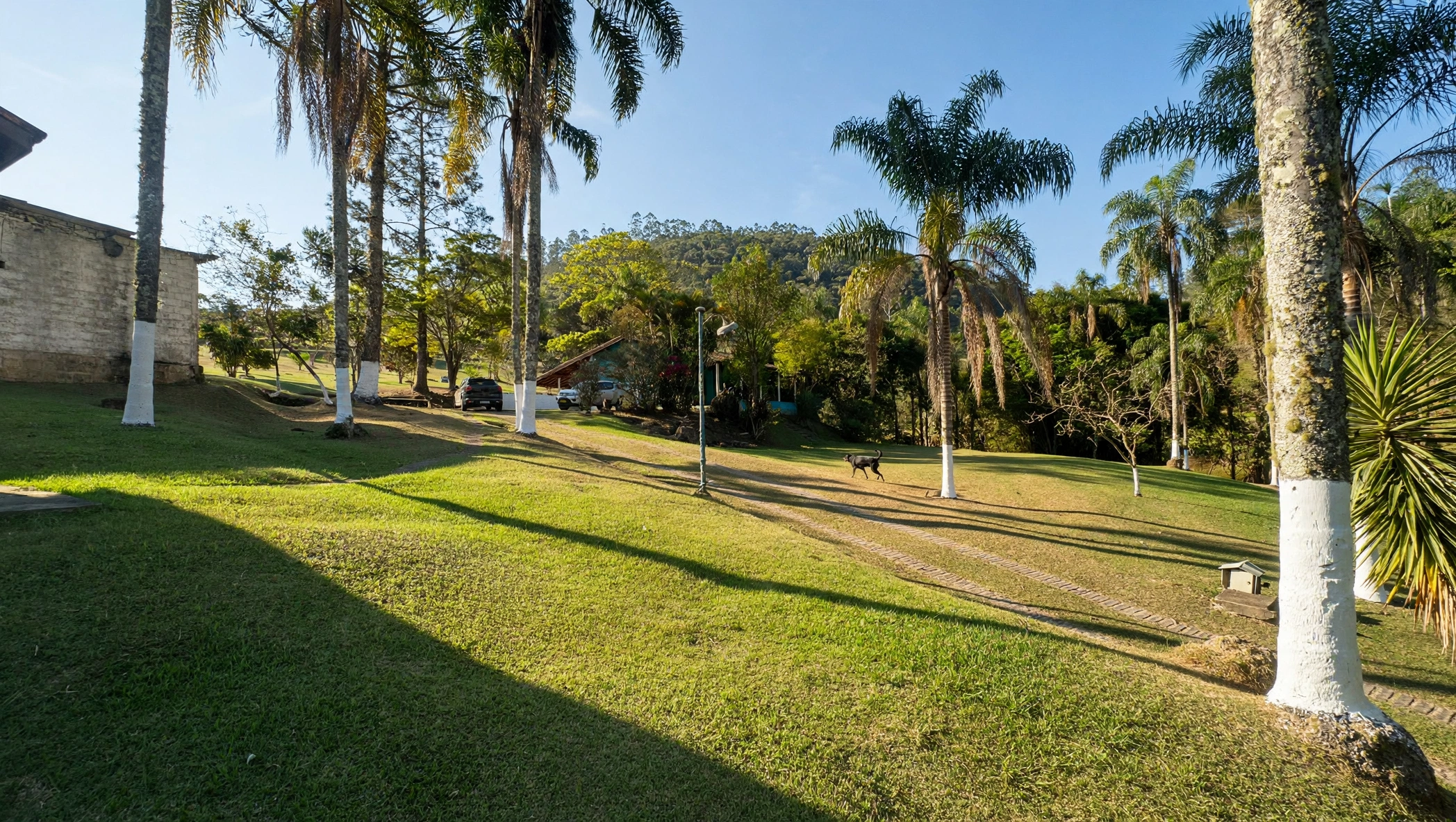 Chácara, 3 quartos, 6 hectares - Foto 18
