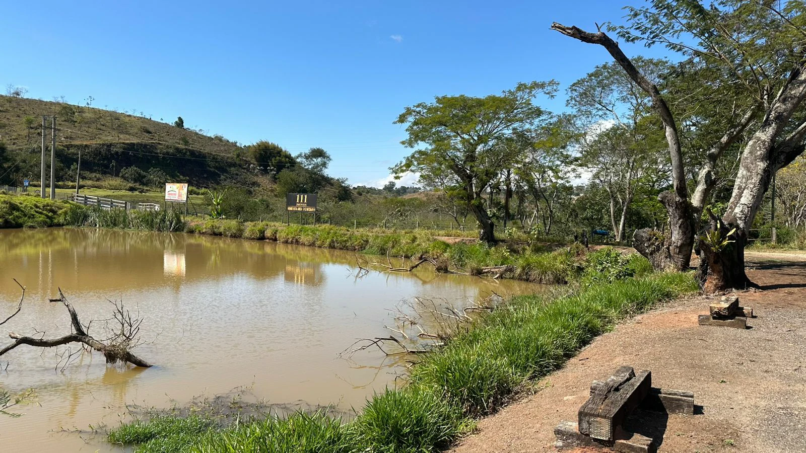 Chácara, 4 quartos, 6 hectares - Foto 17