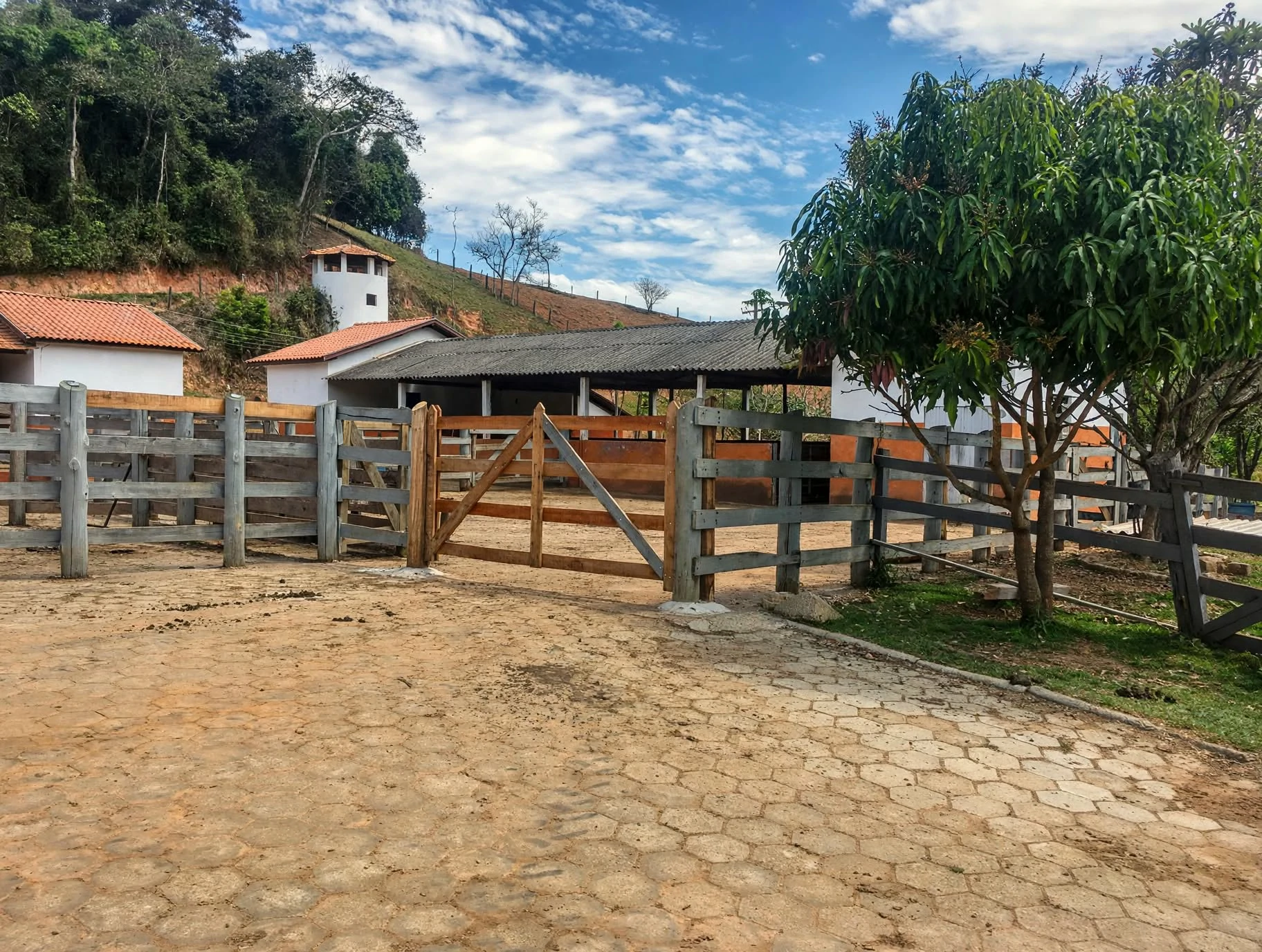 Fazenda, 97 hectares - Foto 16