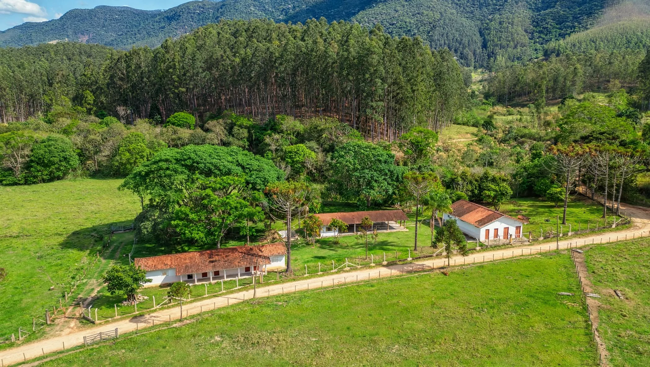 Fazenda, 97 hectares - Foto 3