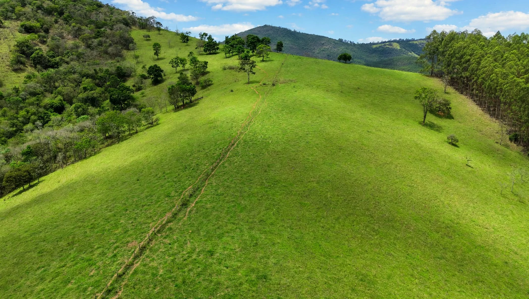 Fazenda, 97 hectares - Foto 9