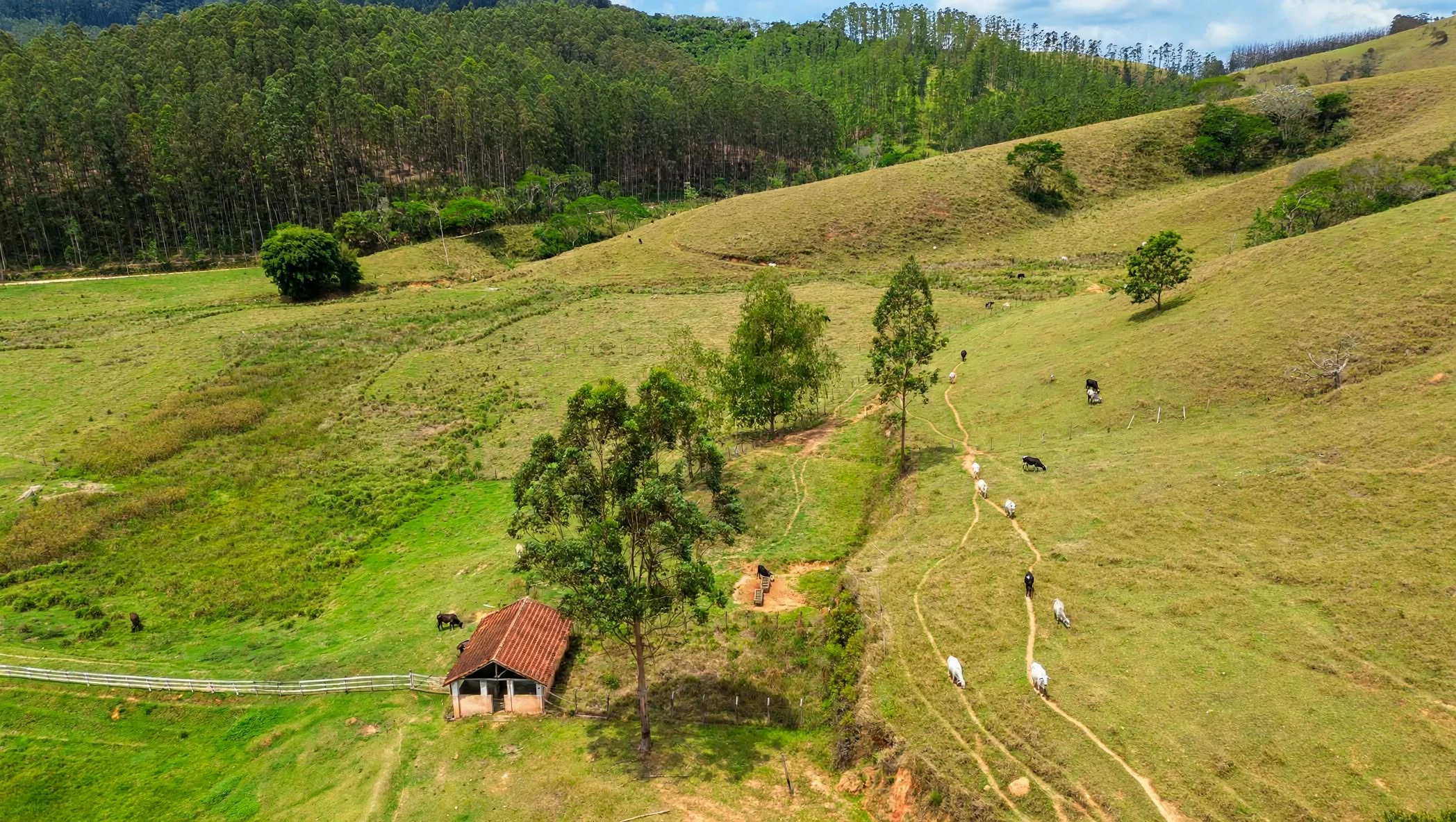 Fazenda, 97 hectares - Foto 23
