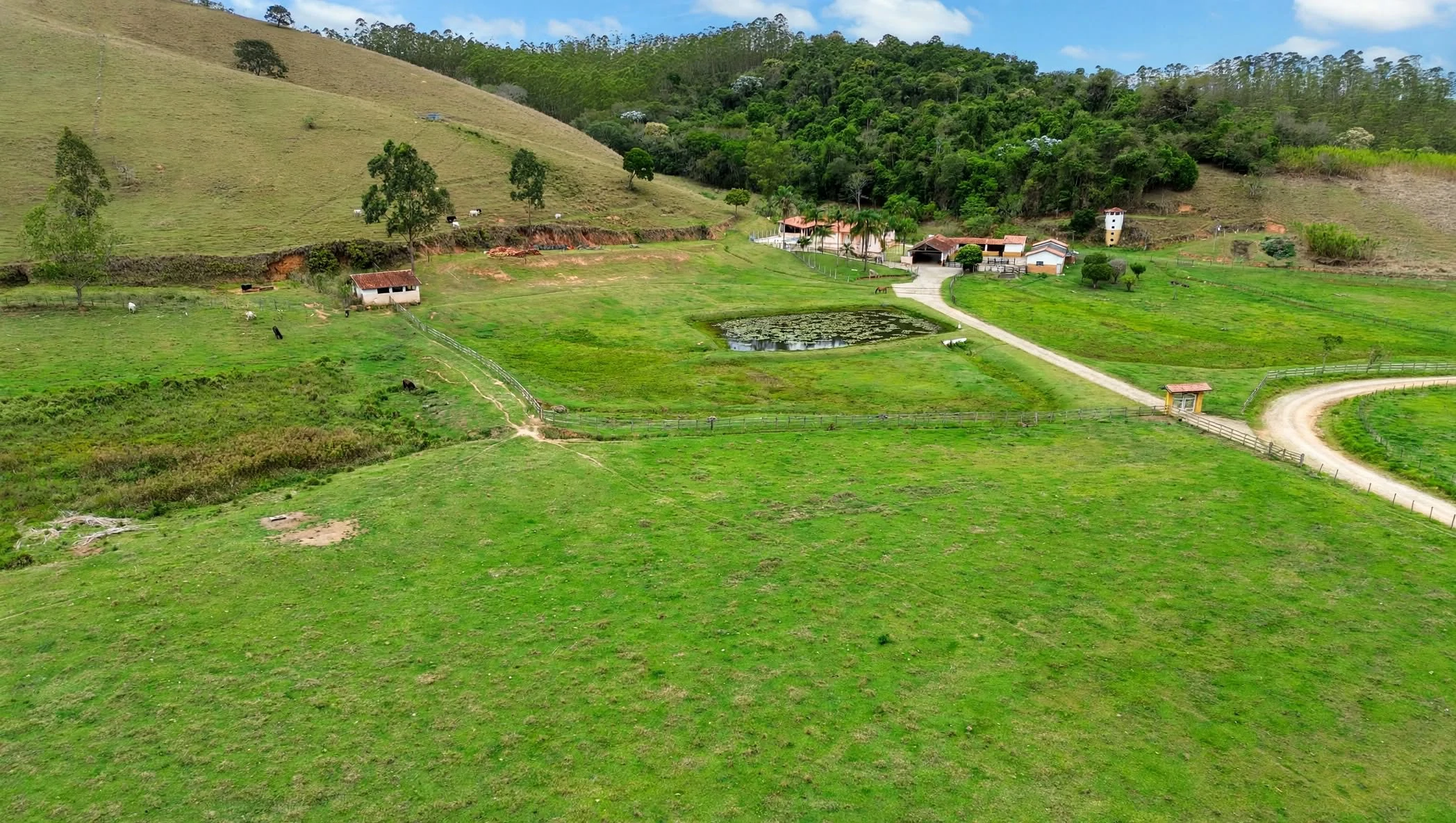 Fazenda, 97 hectares - Foto 4