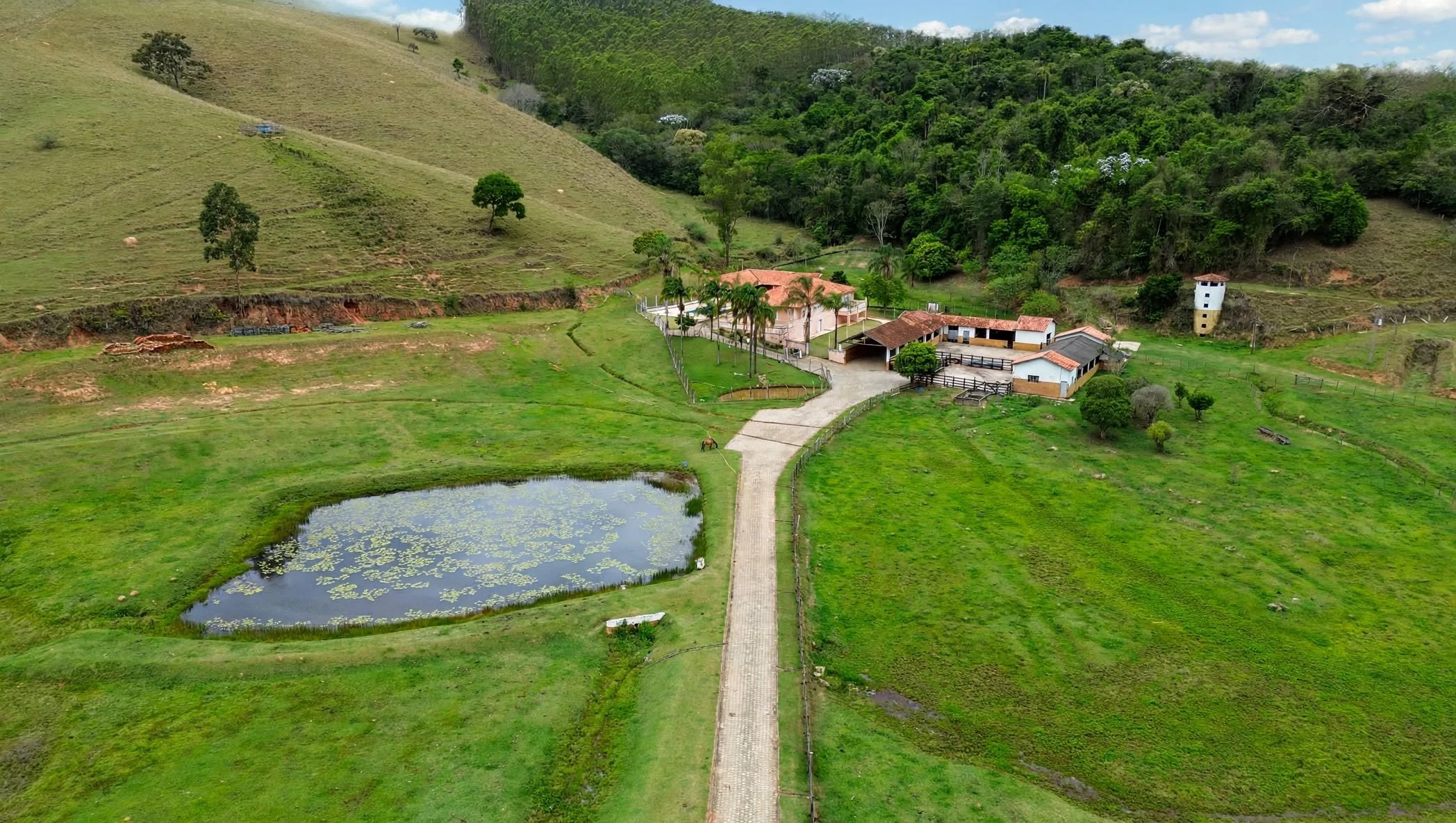 Fazenda, 97 hectares - Foto 7