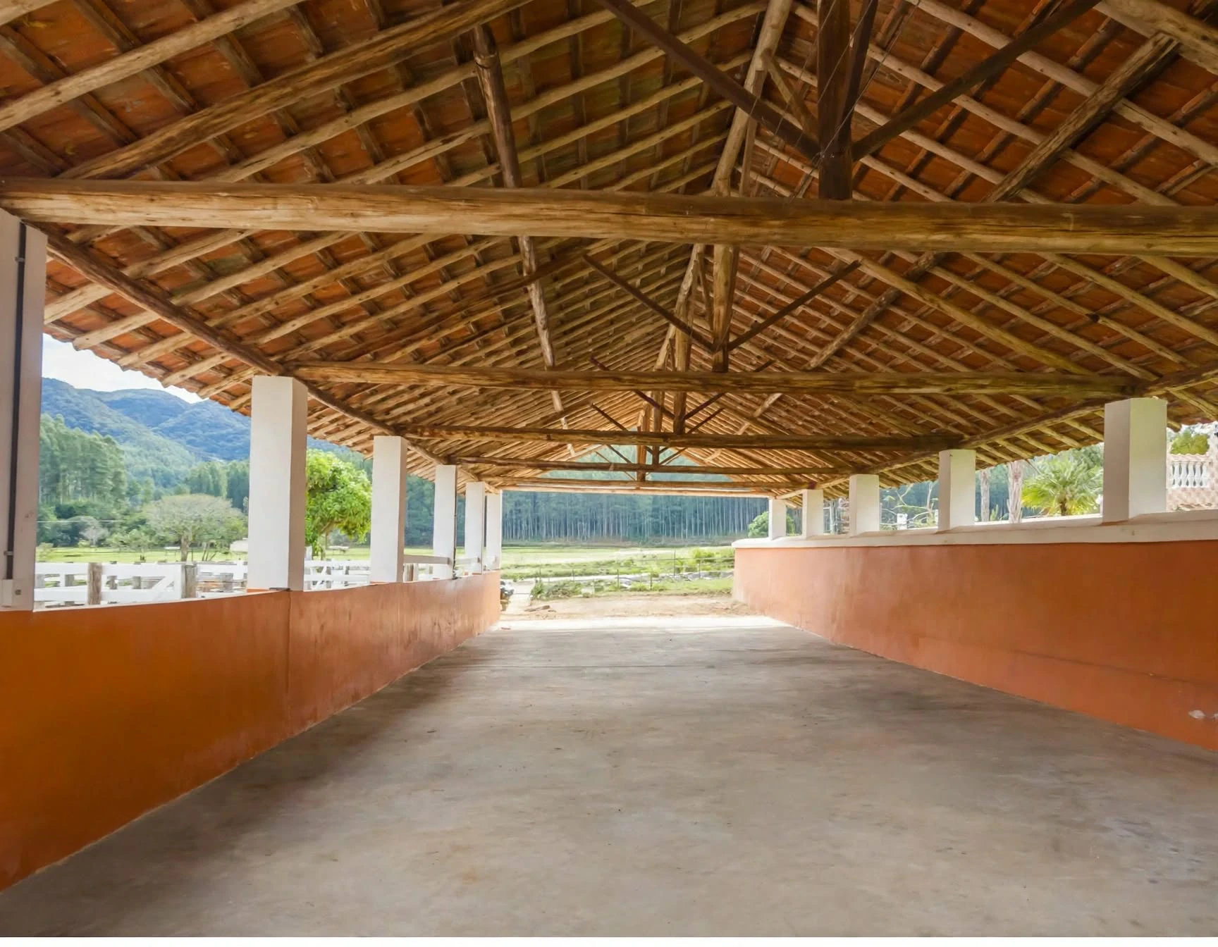 Fazenda, 97 hectares - Foto 12