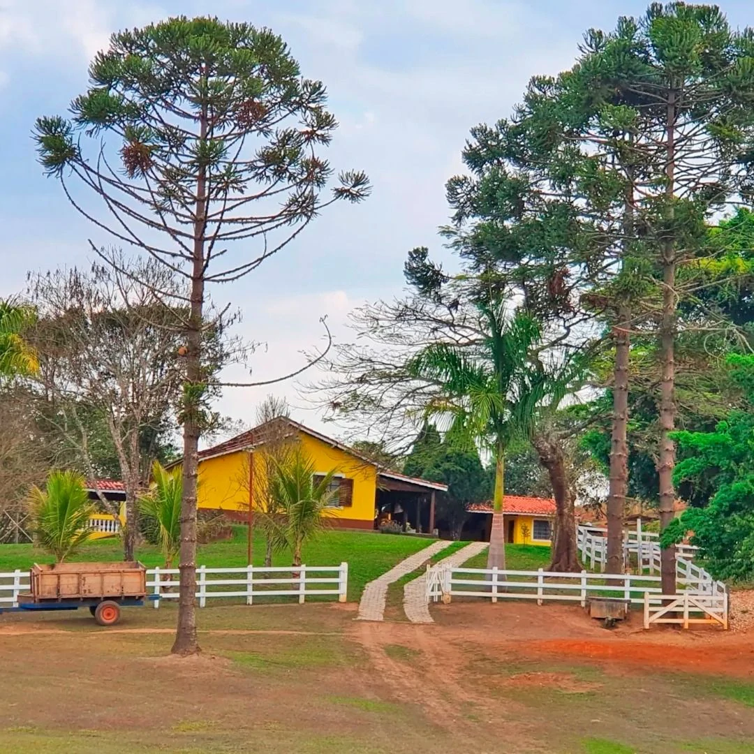 Casa - Foto 8