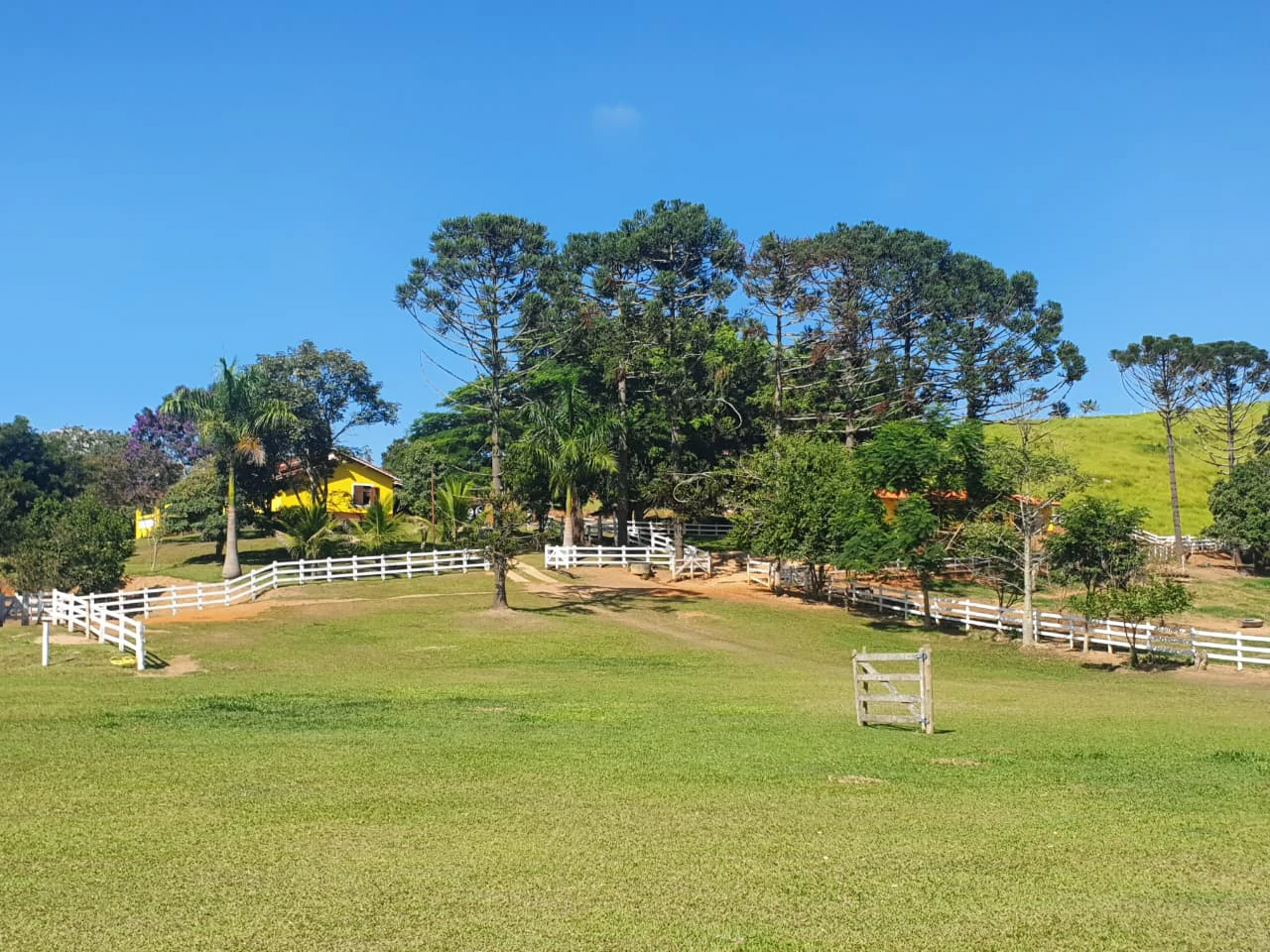 Casa - Foto 19