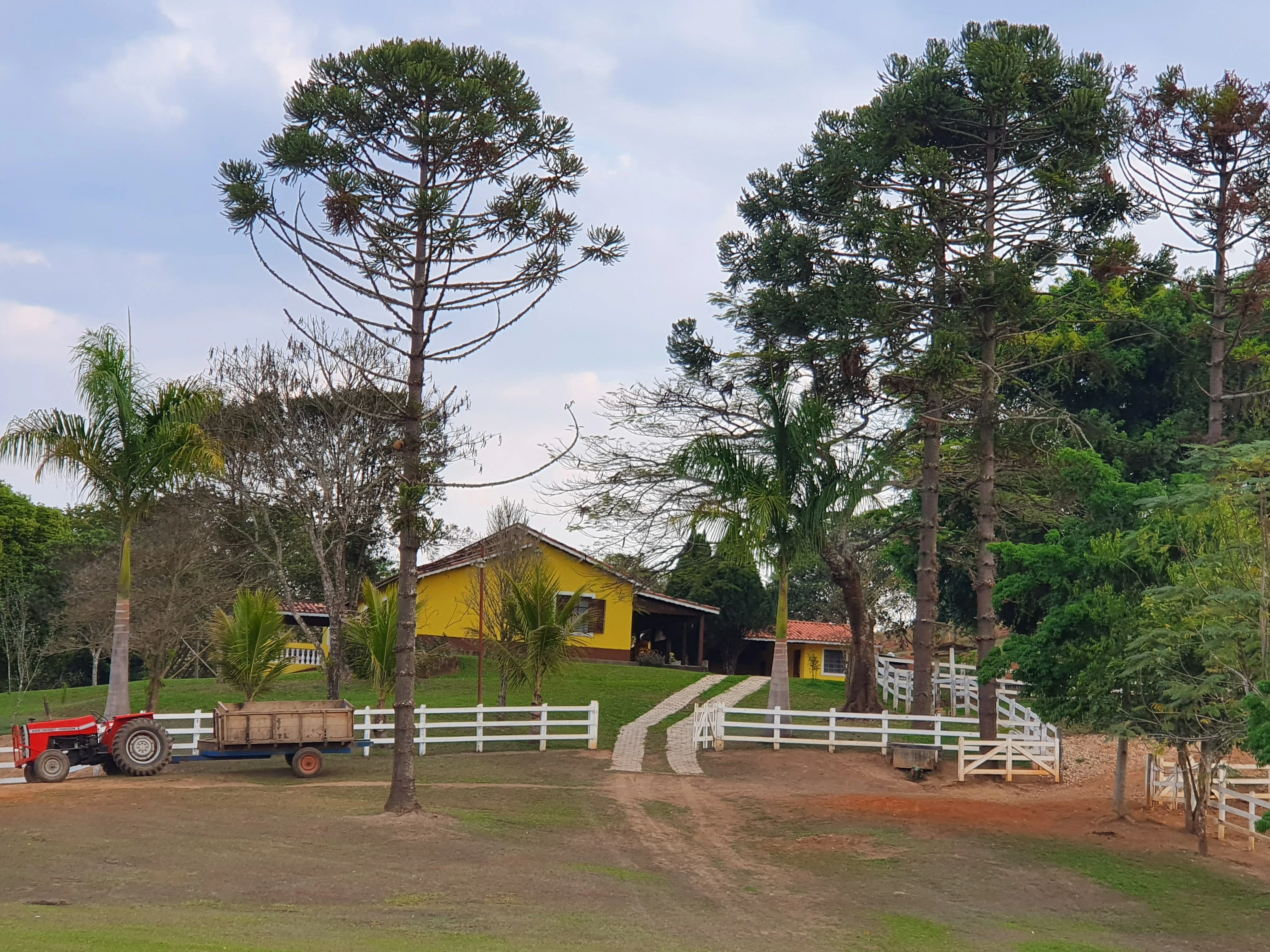 Casa - Foto 4
