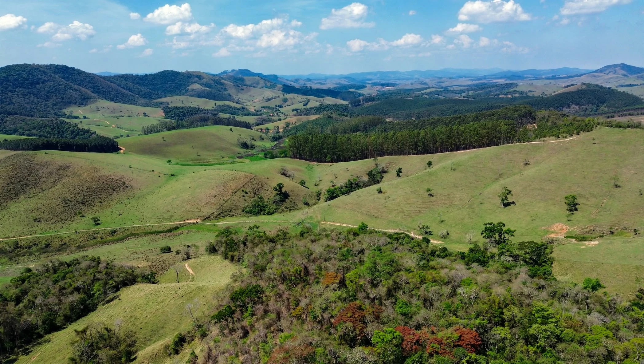 Sítio, 3 quartos, 24 hectares - Foto 6