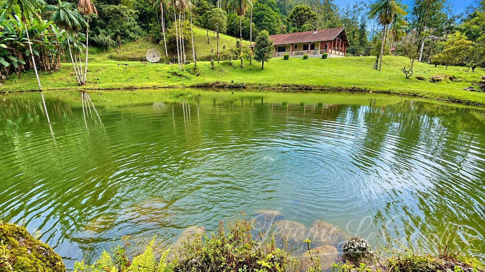 Chácara, 4 quartos, 1 hectares - Foto 1