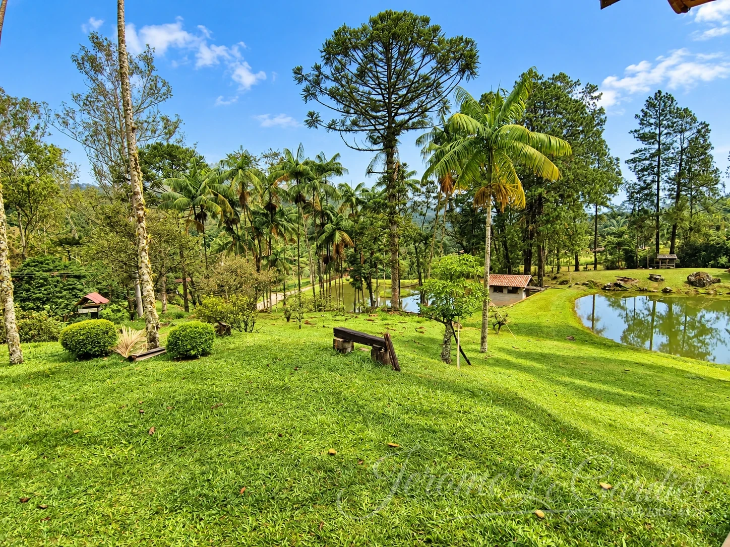 Chácara, 4 quartos, 1 hectares - Foto 16