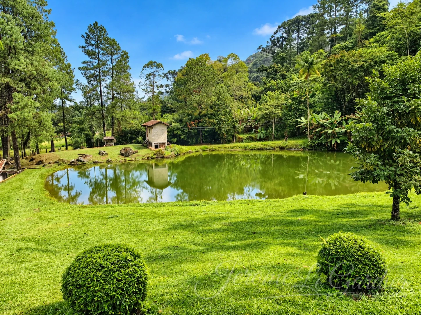 Chácara, 4 quartos, 1 hectares - Foto 18