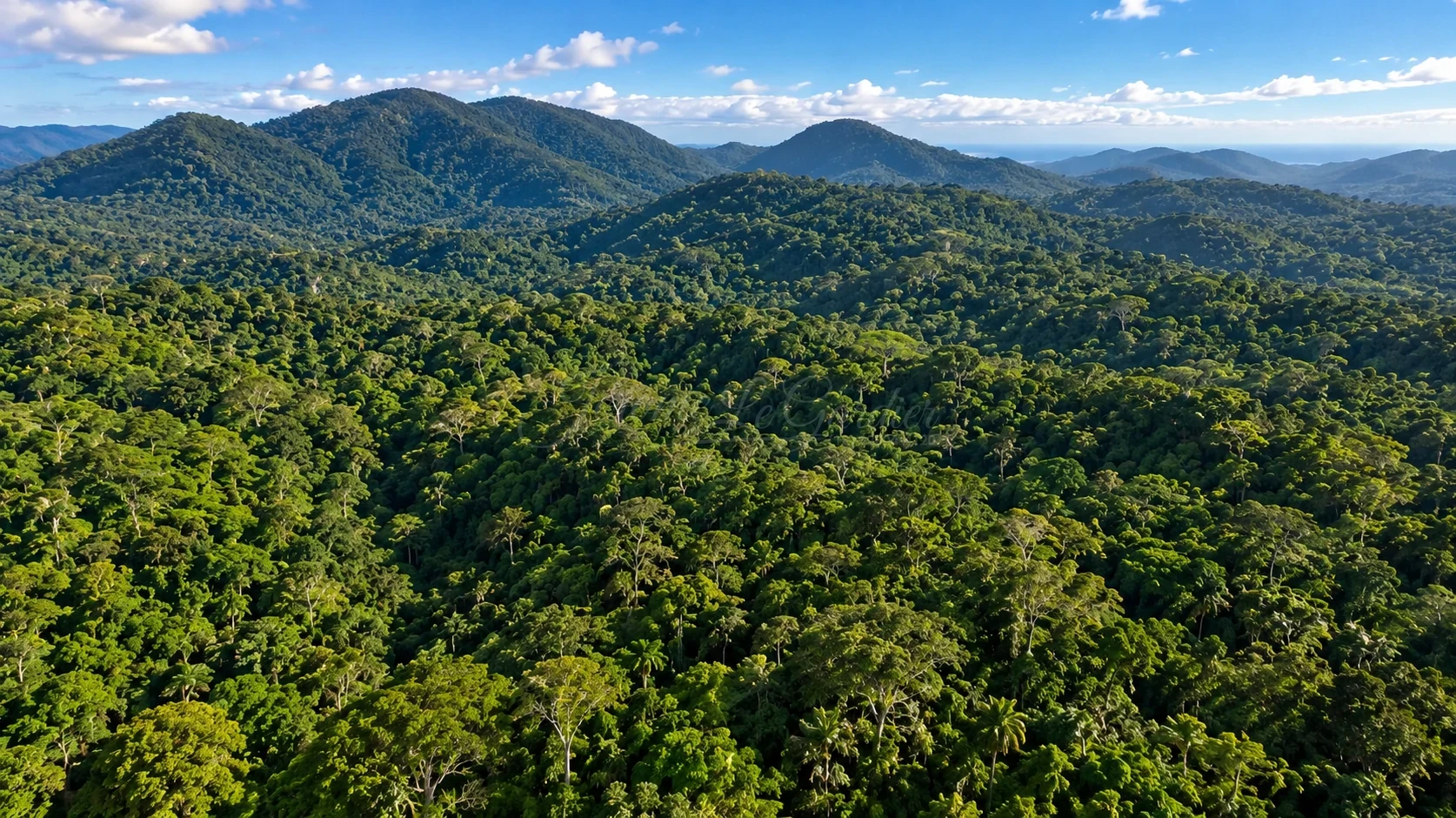 Chácara, 756 hectares - Foto 2