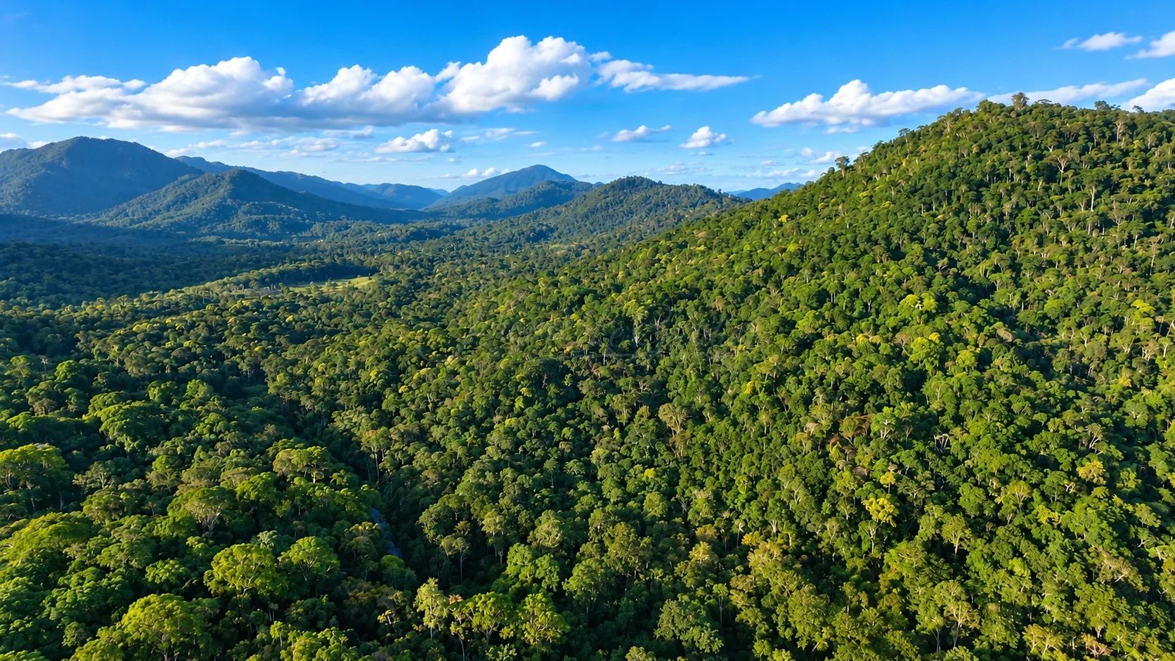 Chácara, 756 hectares - Foto 6