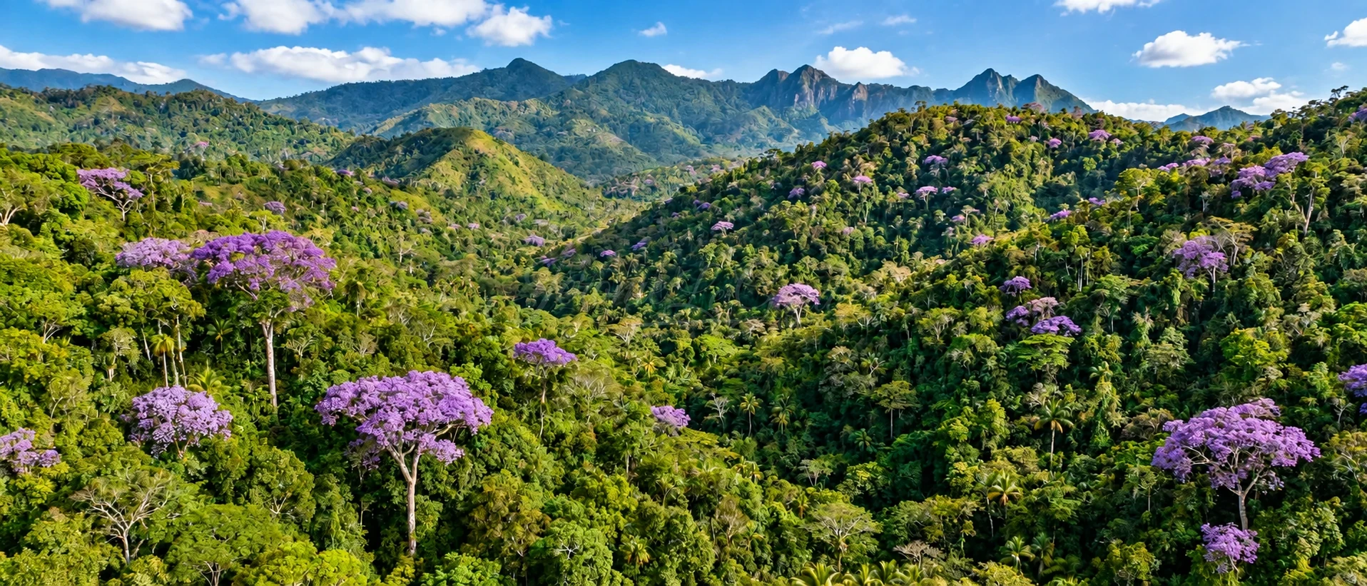 Chácara, 756 hectares - Foto 7
