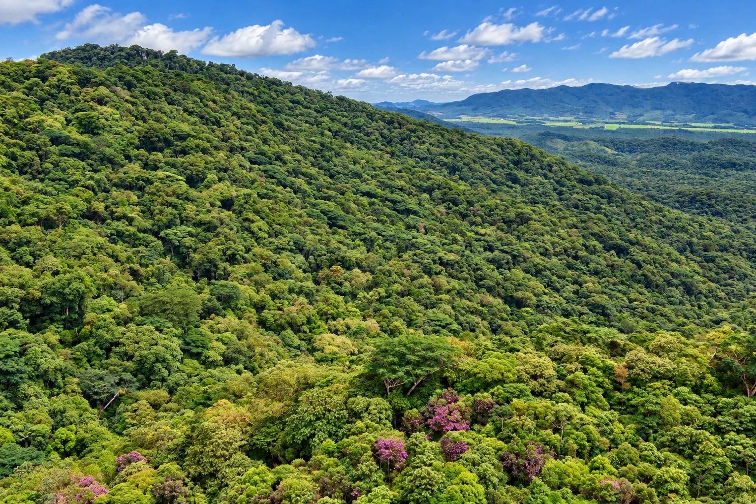 Chácara, 756 hectares - Foto 8