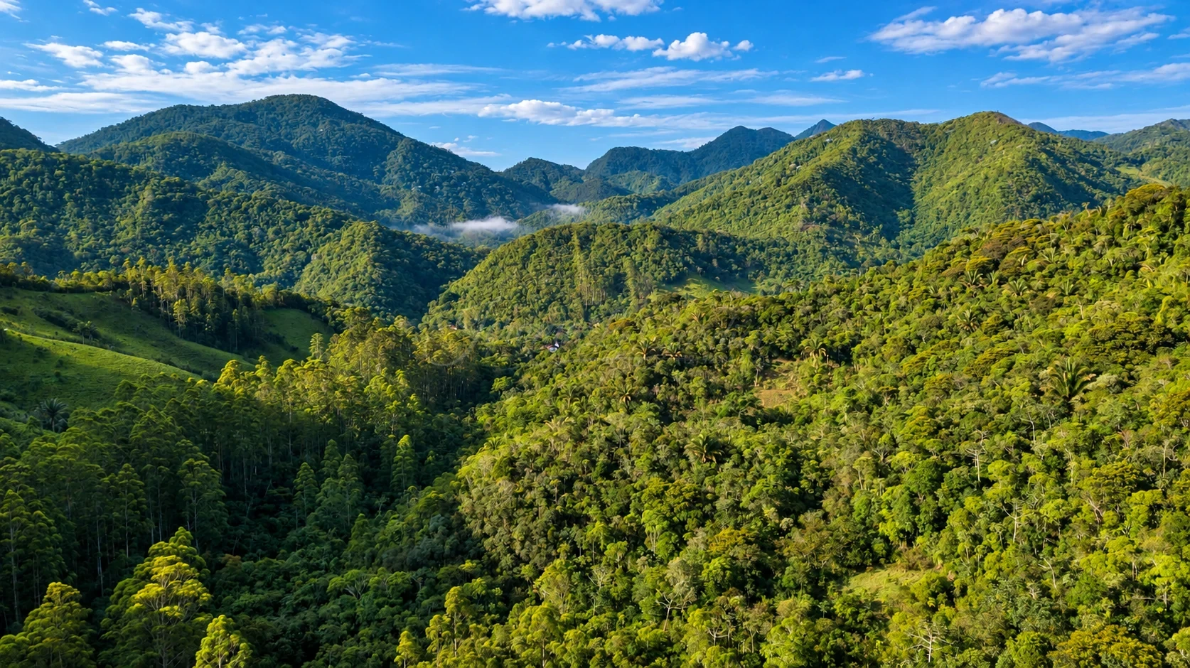Chácara, 756 hectares - Foto 9